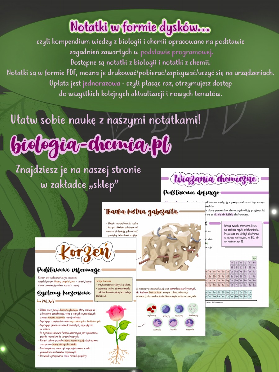 Notatki Z Biologii | Biologia-chemia.pl